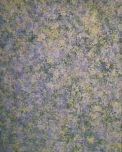 供应新型环保建材防虫灭蚊蝇涂料技术转让